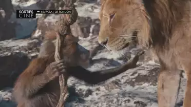 Les sorties ciné du 18 décembre  2024