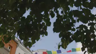 Pénurie de main-d&#039;œuvre et perspectives