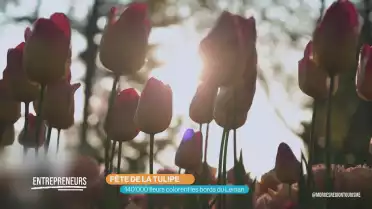 Fête de la Tulipe