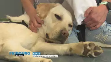 Un thérapeute qui a du chien