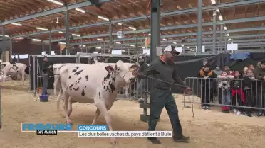 Les plus belles vaches du pays défilent à Bulle