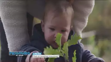 Peut-on monétiser nos arbres ?