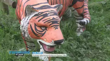 Audriaz rallume les étoiles en Basse-Ville