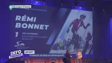 Freestyle, ski alpin et mérite sportif.