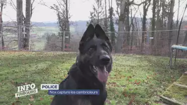 Nox capture les cambrioleurs