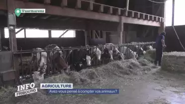 Avez-vous compté vos animaux de la ferme ?
