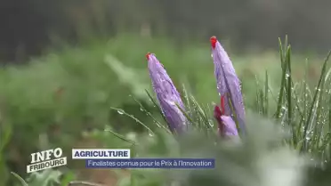 Les finalites du prix à l&#039;innovation agricole sont connus