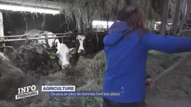 De plus en plus de femmes font leur place