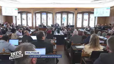 Le SEnOF passe sous la loupe