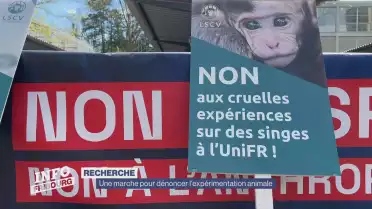 En marche contre les expérimentations animales