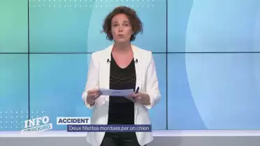 Deux fillettes mordues par un chien