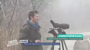 Moins d&#039;oiseaux migrateurs dans la Grande Cariçai