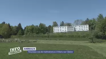 Nouveau cas de maltraitance animale à Villars-sur-Glâne