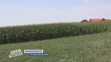 L&#039;initiative sur la biodiversité divise le monde paysan