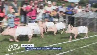 Fred et Didou, stars de la course des cochons !