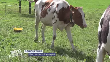 Journal du 10 septembre 2024