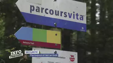 Pas toujours à l&#039;abri en forêt