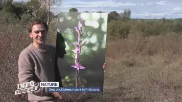 Des orchidées made in Fribourg