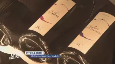La Charte des vins du Vully