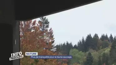 Plus de tranquillité pour la faune sauvage