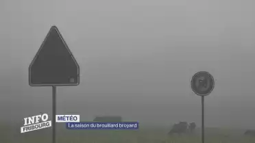 La saison du brouillard broyard