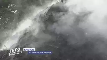 Biogaz: l&#039;énergie au cœur des déchets verts