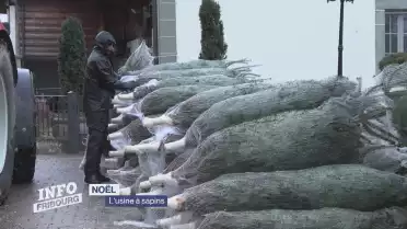 L&#039;usine à sapins de Noël