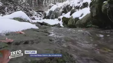 Un manteau blanc de novembre