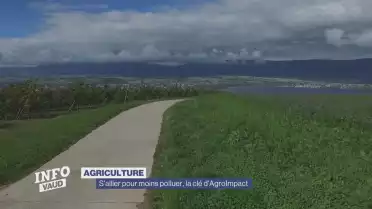 S&#039;allier pour moins polluer, la clé d&#039;AgroImpact