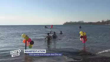 Des givrés se jettent au lac