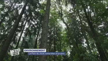 Le Parc du Jorat, entre son passé et son futur
