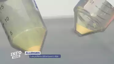 Les pollens débarquent déjà !