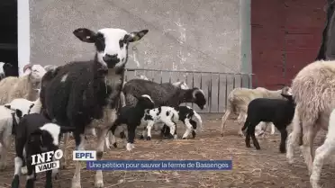 Une pétition pour sauver la ferme de Bassenges
