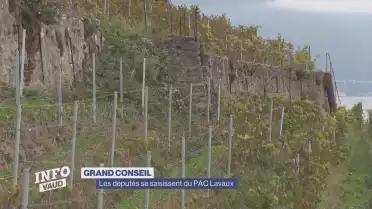Les députés se saisissent du PAC Lavaux