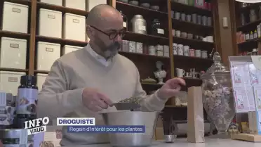 Les plantes intéressent de plus en plus