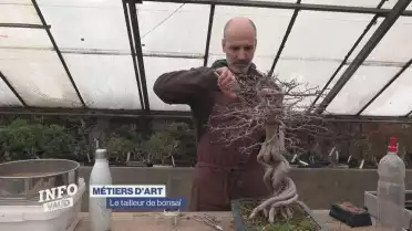 Il a l&#039;art de tailler les bonsaïs