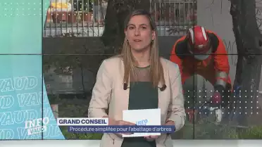 Procédure simplifée pour l&#039;abattage d&#039;arbres