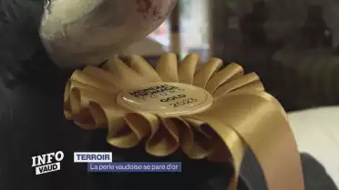 La perle vaudoise se pare d&#039;or