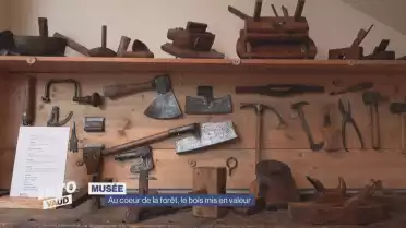 Le Musée du bois, au cœur de la forêt