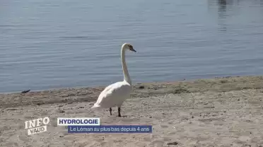Le Léman au plus bas depuis quatre ans