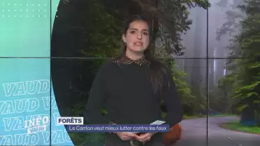 Le Canton veut mieux lutter contre les feux