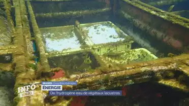 De l&#039;hydrogène issu de végétaux lacustres