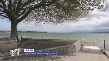 12 ans sans brassage complet du Léman
