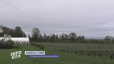 L&#039;agriculture bio, trente ans de durabilité et de soutien