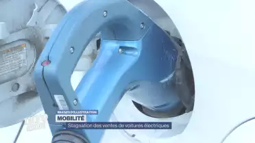Stagnation des ventes de voitures électriques