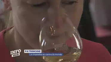 Le chasselas au centre du monde