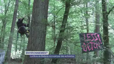 Le Bois de Ballens occupé par des activistes