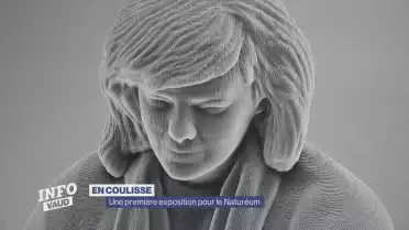 &quot;Spécimen 24&quot;: une première exposition pour le Naturéum