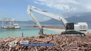 Des millions de tonnes de bois à évacuer