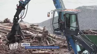 17&#039;000 mètres cubes de bois à évacuer